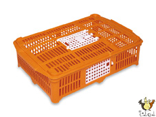 Cage Tranport Cailles