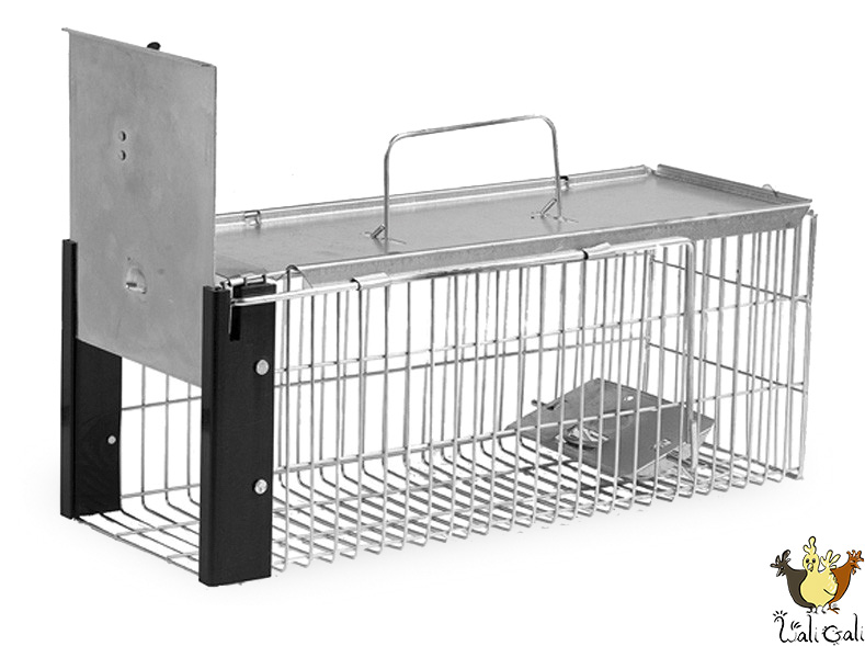Cage Piège Rats