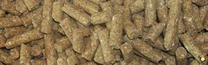 Vital Rat Et Souris (10 Mm) - 20 Kg