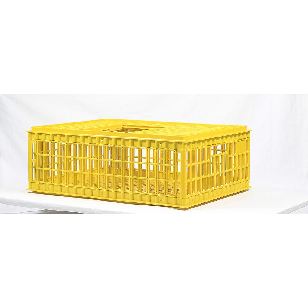 Caisse de transport pour volaille
