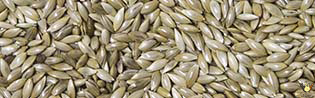 Acti Truie Farine - 25 Kg
