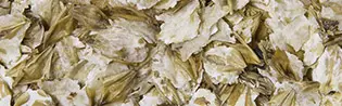Orge Floconnée - 20 Kg