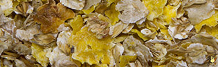 Orge + Maïs Floconné - 20 Kg