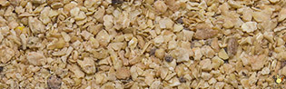 Tourteau Soya 49 Higtpro - 25 Kg
