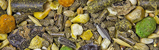 Lapigrain Composé 1 - 20 Kg