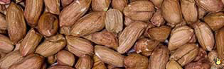 Arachide Pelée - 1 Kg