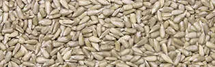 Tournesol Pelé - 4 Kg