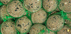 Boules De Graisse Non Plastifiées - 95 G