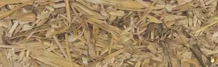 Paille Hachée (T44) - 20 Kg