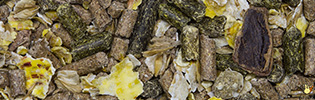 Vital Mouton Et Chèvre - 20 Kg