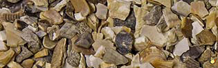 Ecailles Huîtres - 5 Kg