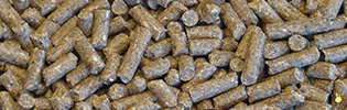 Vital Chèvre Et Cervidé - 25 Kg