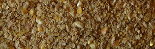 Vital Poulet Campagnard - 25 Kg