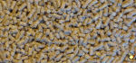 Vital Poulet Campagnard Granulé - 25 Kg