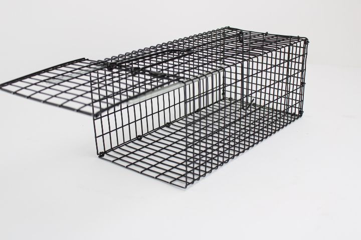 Cage Piège Rats (copie)