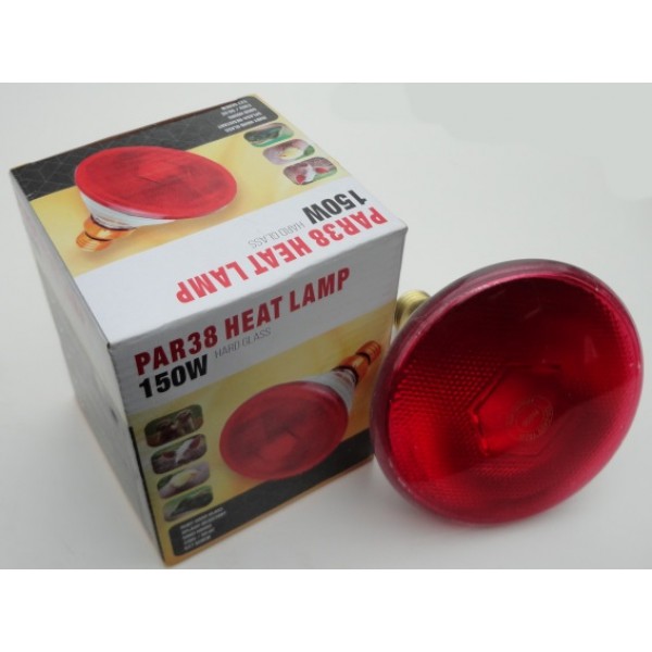 Ampoule chauffante infrarouge 100 W