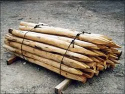 Piquet Robinier 12/14 - 200 cm