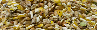 Vital Grain Cassé Super - 25 Kg