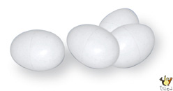 Oeufs De Pigeons En Plastique