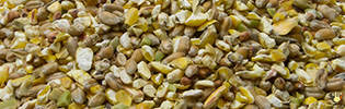 Vital Grain Nature - 25 Kg