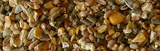 Vital Complet Poulet - 25 Kg