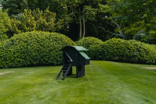 Poulailler Nestera Surélevé Smal (3 à 5 poules) (Raised)