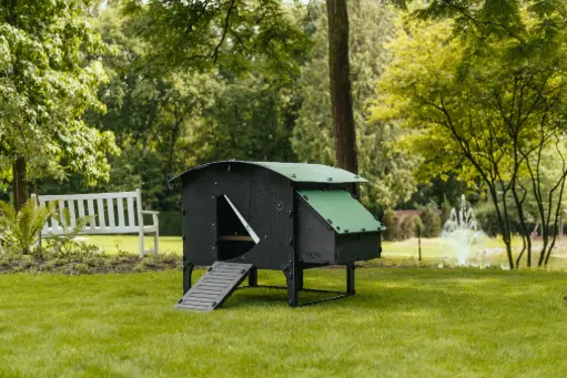 [N-010831] Poulailler Nestera sur pieds Large (8 à 15 poules) (Lodge) (copie)