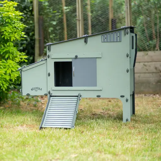 Poulailler Nestera Aspen 6 (6 à 10 poules)