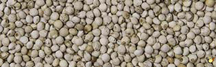 [S-02.50.00000] Périlla Gris-Blanc - 15 Kg