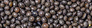 [S-02.75.00000] Vesce Pour Pigeon - 25 Kg