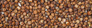 [S-02.20.00000] Sorgo-Milo - 25 Kg