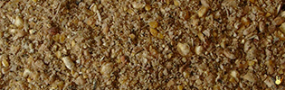 Vital Poulette - 25 Kg