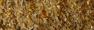 [S-43.05.00000] Vital Pondeuse 100 % Végétale - 25 Kg