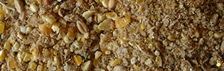 [S-43.03.00000] Vital Poulet Nature - 25 Kg