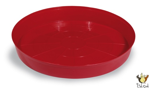 [G-11700] Plateau De Démarrage Poussins